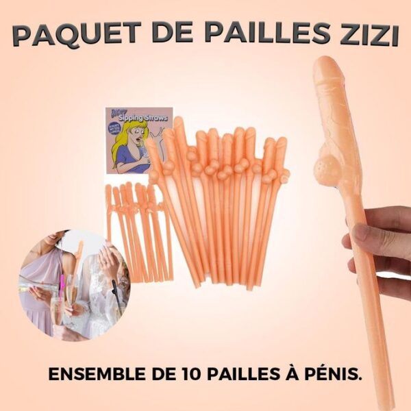 paquet de paille Zizi DICKY SHIPPING STRAWS