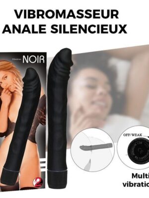 Vibromasseur Anal Fin Noir 19 Cm
