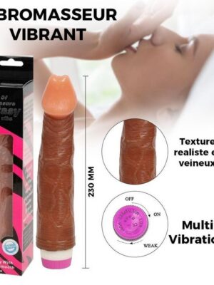 Vibromasseur Long 23cm Diam 4cm Gode vibrant