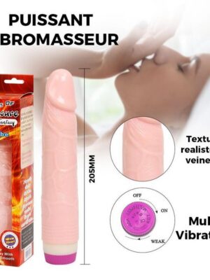 Gode Vibrant Pénis Longueur 205mm 37mm